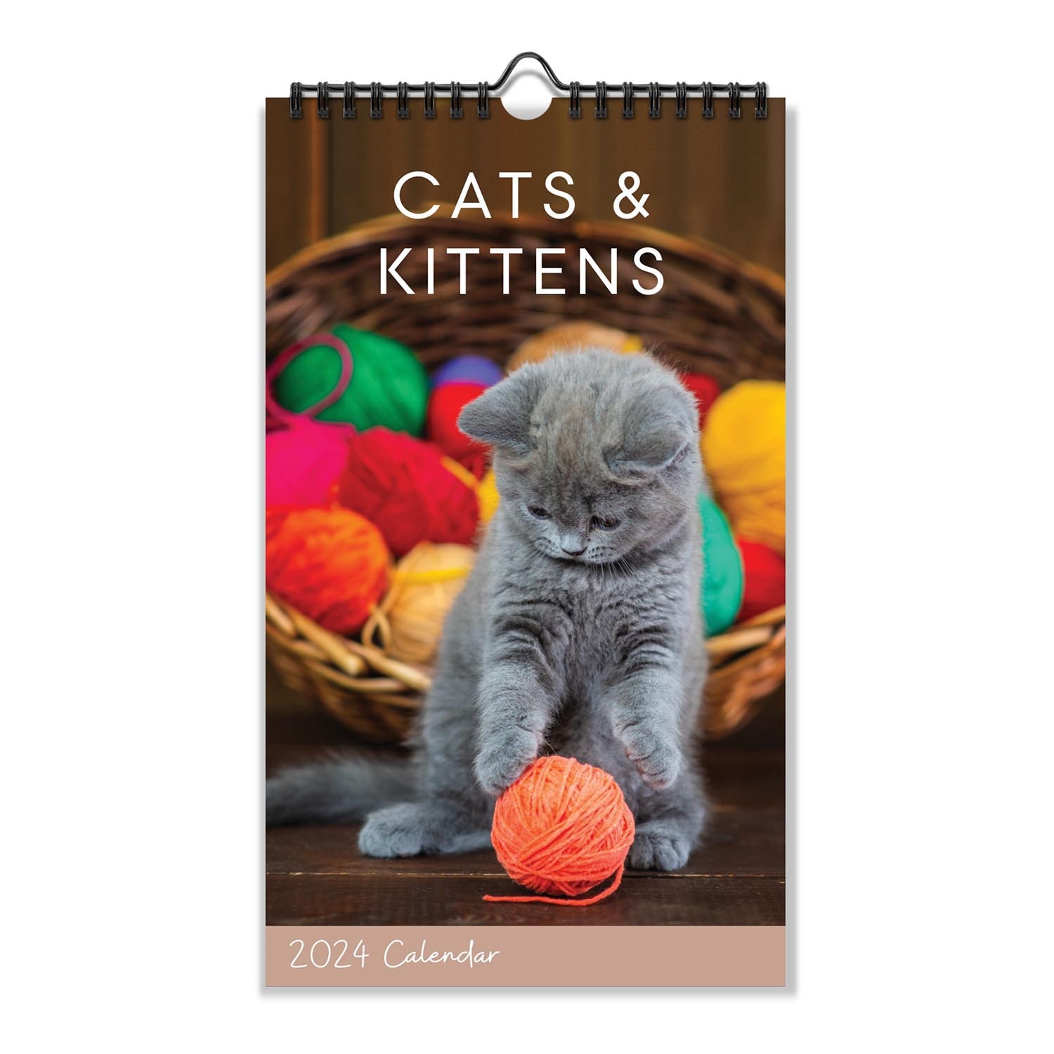 Cats and Dogs Midi Spiral Calendar Image 3