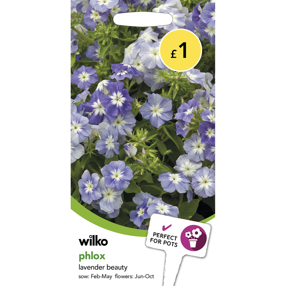 Wilko Phlox Lavender Beauty Seeds Image 2