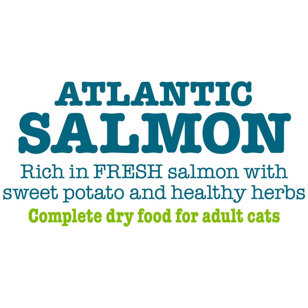 Little BigPaw Salmon Dry Cat Food 350g Image 4