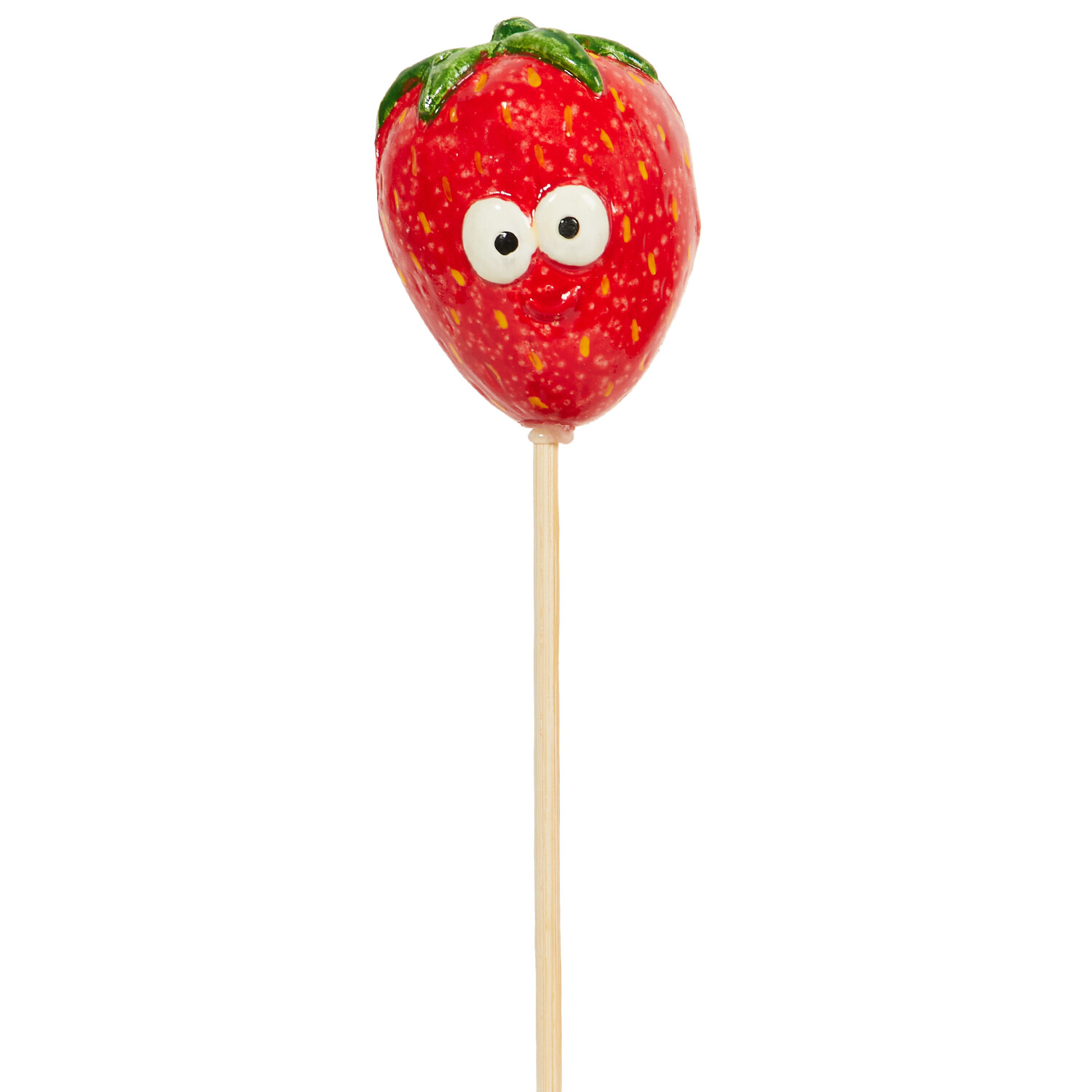 Fruit and Veg Garden Stakes Image 1