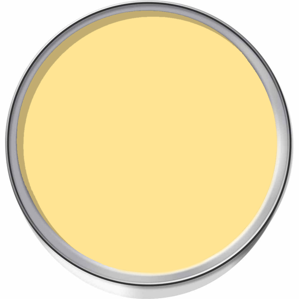 Dulux Easycare Kitchen Lemon Pie Matt Emulsion Paint 2.5L Wilko