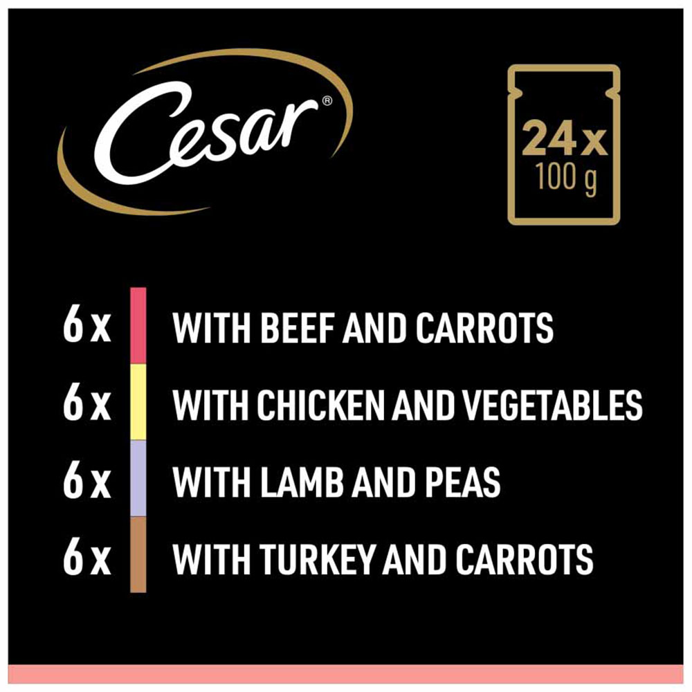 Cesar Selection in Sauce Wet Dog Food 24 x 100g Image 5