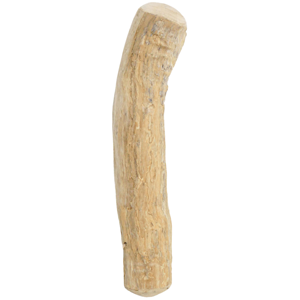 GoodWood Chewable Wood Stick for Medium Dogs Image 1
