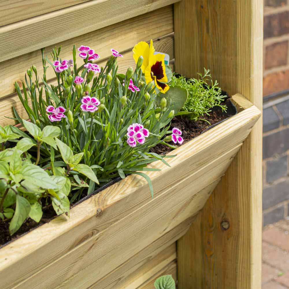 Rowlinson Herb Ladder Wilko