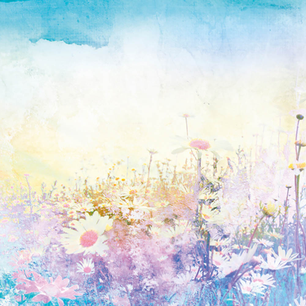 Origin Murals Oversized Feathers Multicolour Wall Mural Image 2