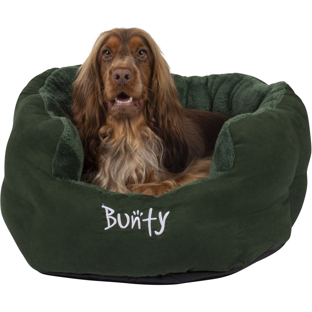 Bunty Polar Large Green Dog Bed Image 5
