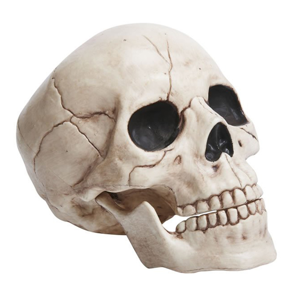Wilko Skull Ornament Image 1