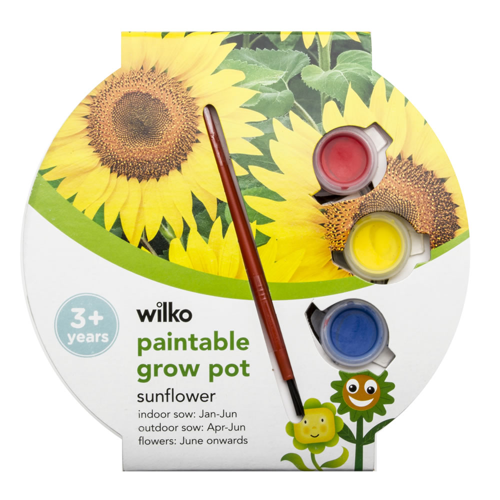 Wilko Paintable Grow Pot Sunflower Wilko