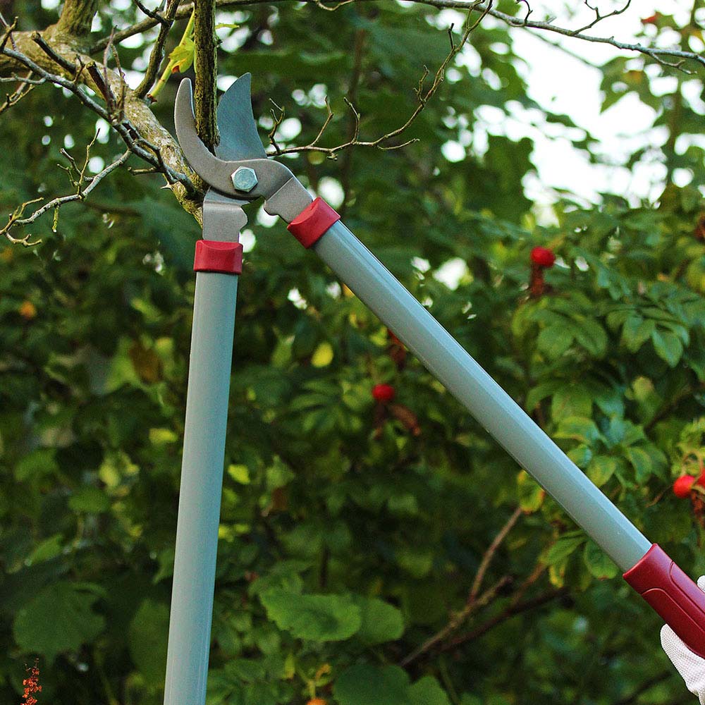 Kent and Stowe General Purpose Loppers Wilko