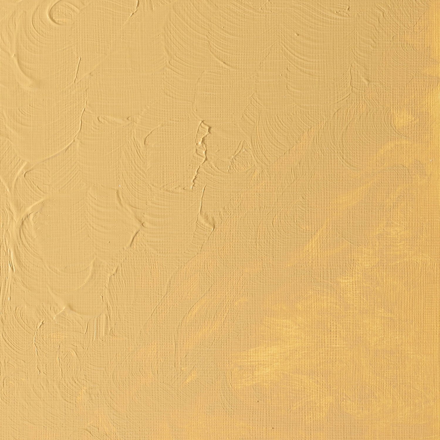Winsor and Newton Griffin Alkyd Oil Colour - Naples Yellow Hue Image 2