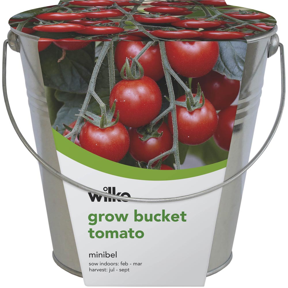 Wilko Summer Vegetable Bucket - Tomato 18 x 18 x 17.5cm Image 3