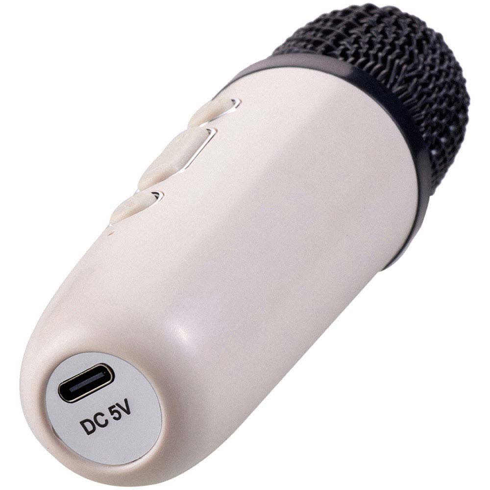 H&O Direct White 2 in 1 Portable Karaoke Machine Speaker with 2 Microphone Image 4