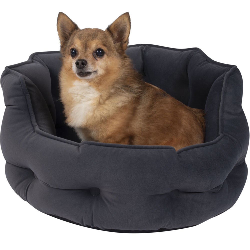 Bunty Monarch Small Dark Grey Dog Bed Image 5