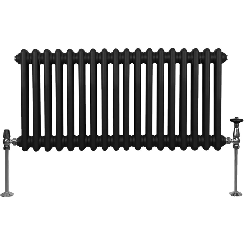Monster Shop 1975 BTU Black Traditional 2 Column Radiator 300 x 832mm Image 1