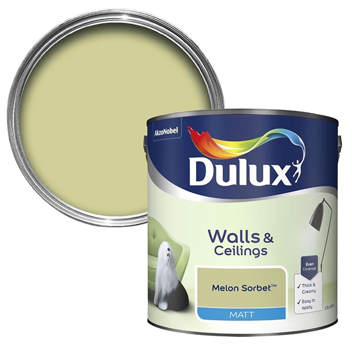 Dulux Walls and Ceilings Matt Paint  - Melon Sorbet Image 1