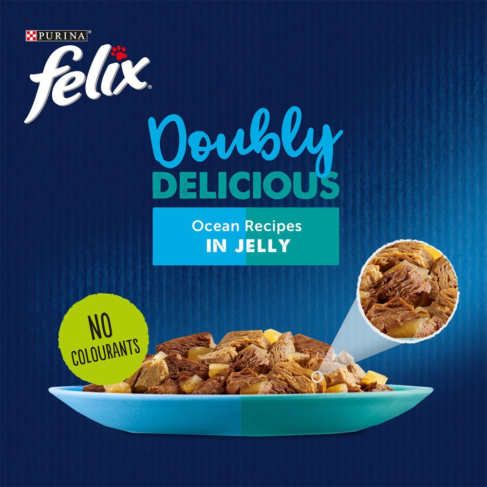 Felix As Good As It Looks Doubly Delicious Ocean Recipes Cat Food 12 x 100g Image 5