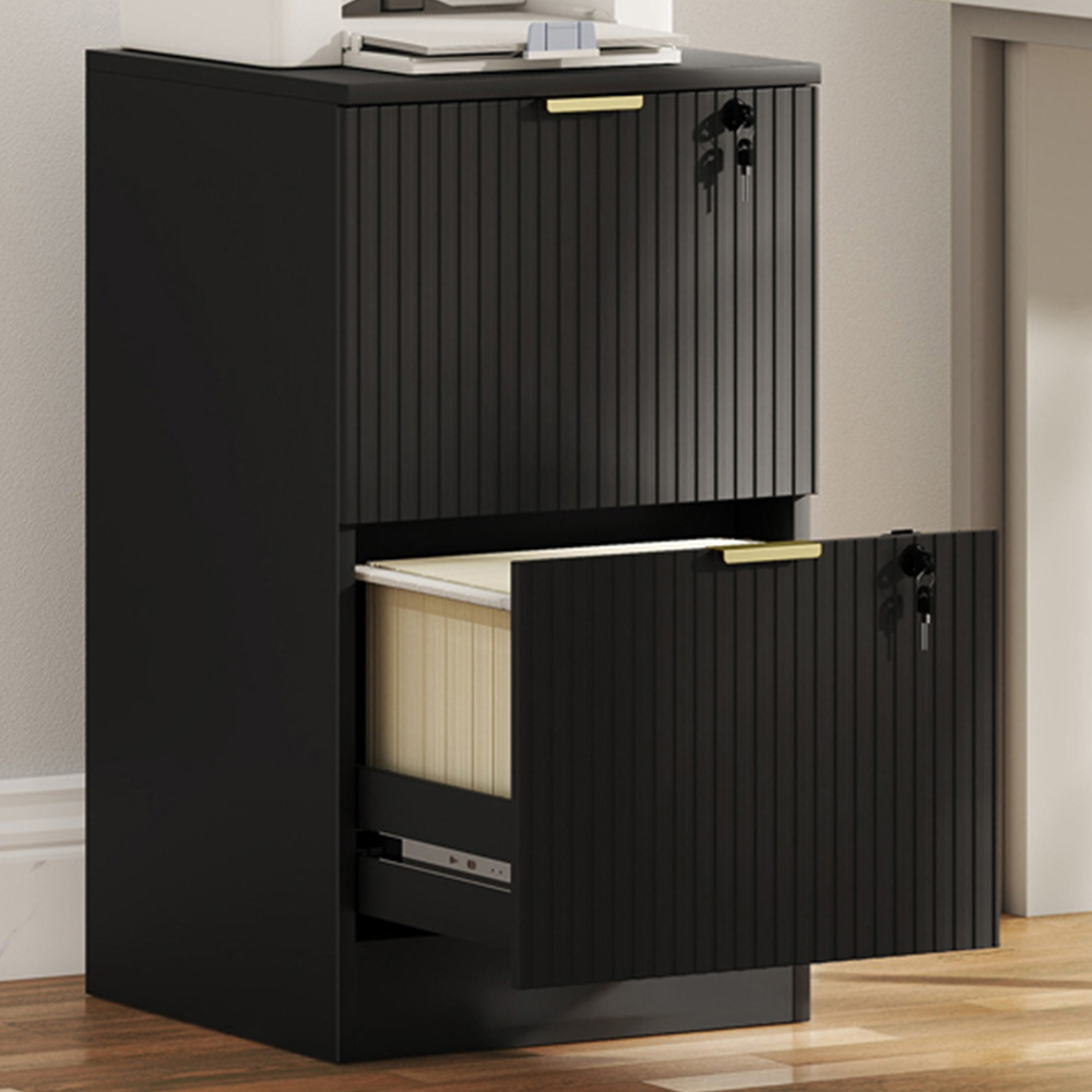HOMCOM 2 Drawer Black Filing Cabinet with Hanging Rails Image 1
