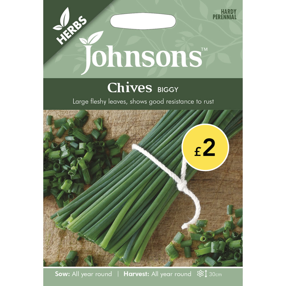 Johnsons Chives Biggy Seeds Image 2