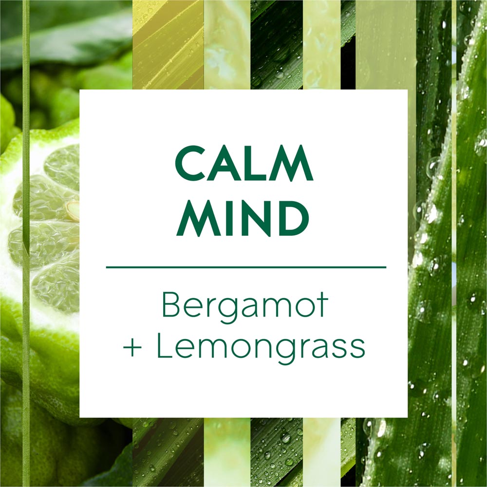Glade Bergamot and Lemongrass Aromatherapy Cool Mist Diffuser Refill 17.4ml Image 5