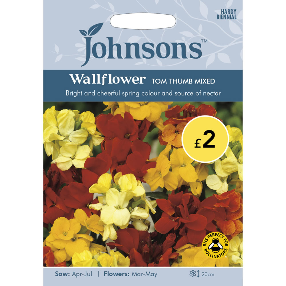 Johnsons Wallflower Tom Thumb Mix Seeds Image 2