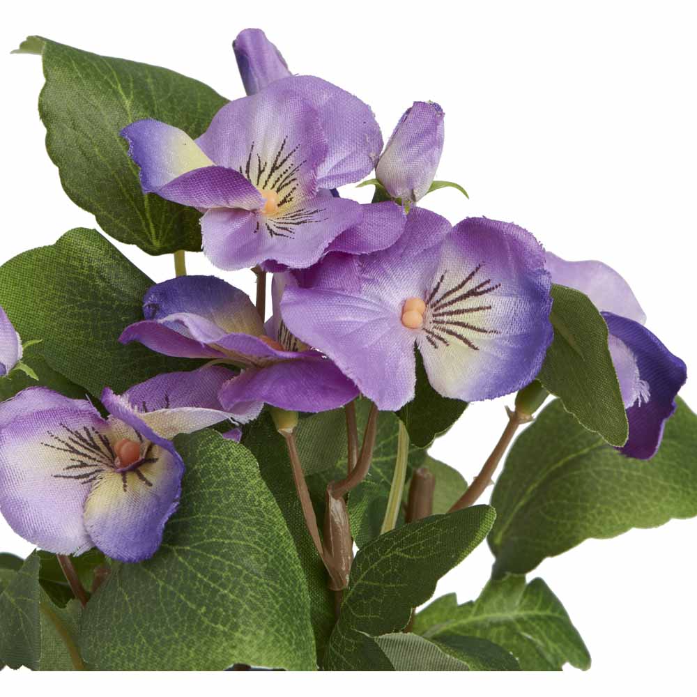 Wilko Potted Flowering Plant Pansy Image 4