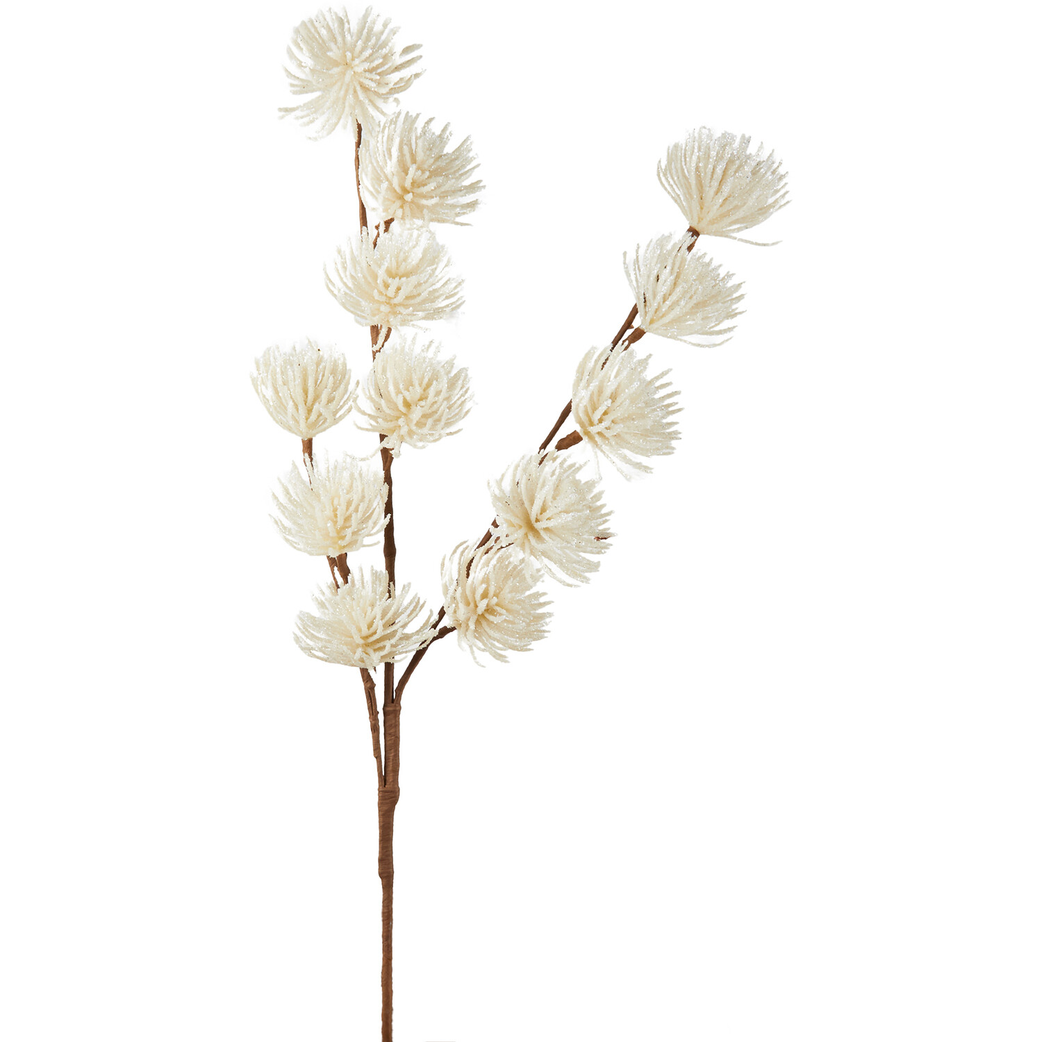 White Thistle Stem Image 1