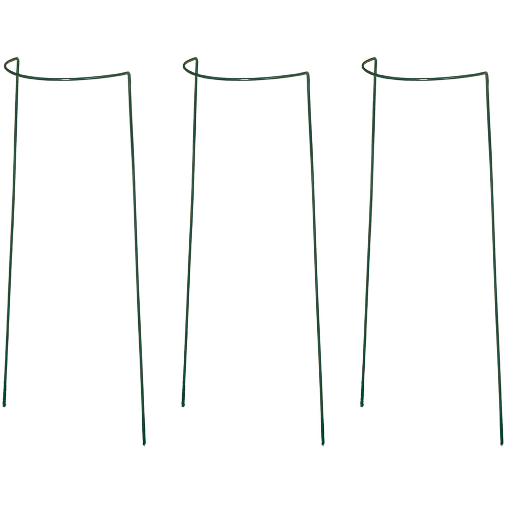 Samuel Alexander Tom Chambers Green Urban Metal Herbaceous Plant Support Arc 20 x 60cm 3 Pack Image 1