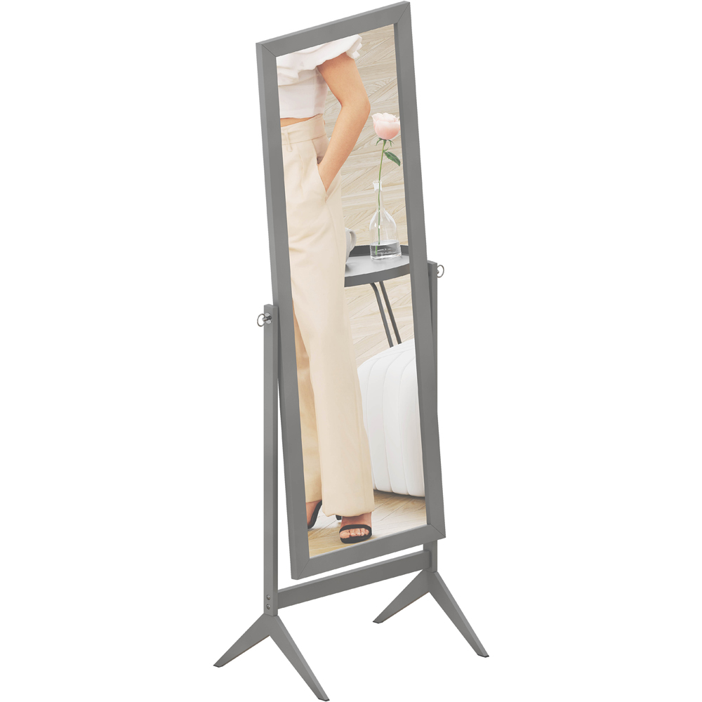 Vida Designs Nishano Grey Rectangle Cheval Mirror Image 1