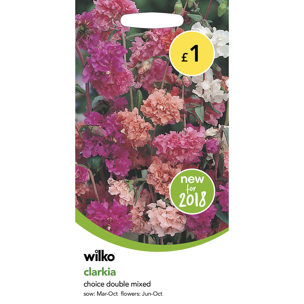 Wilko Clarkia Choice Double Mix Seeds Image 2