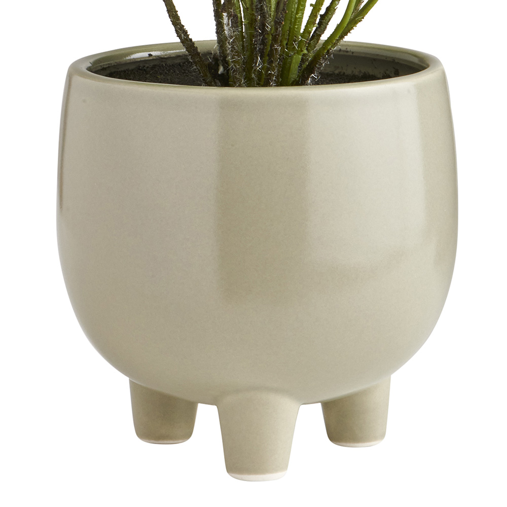 Soft Sanctuary Faux Plant In Footed Pot Image 6