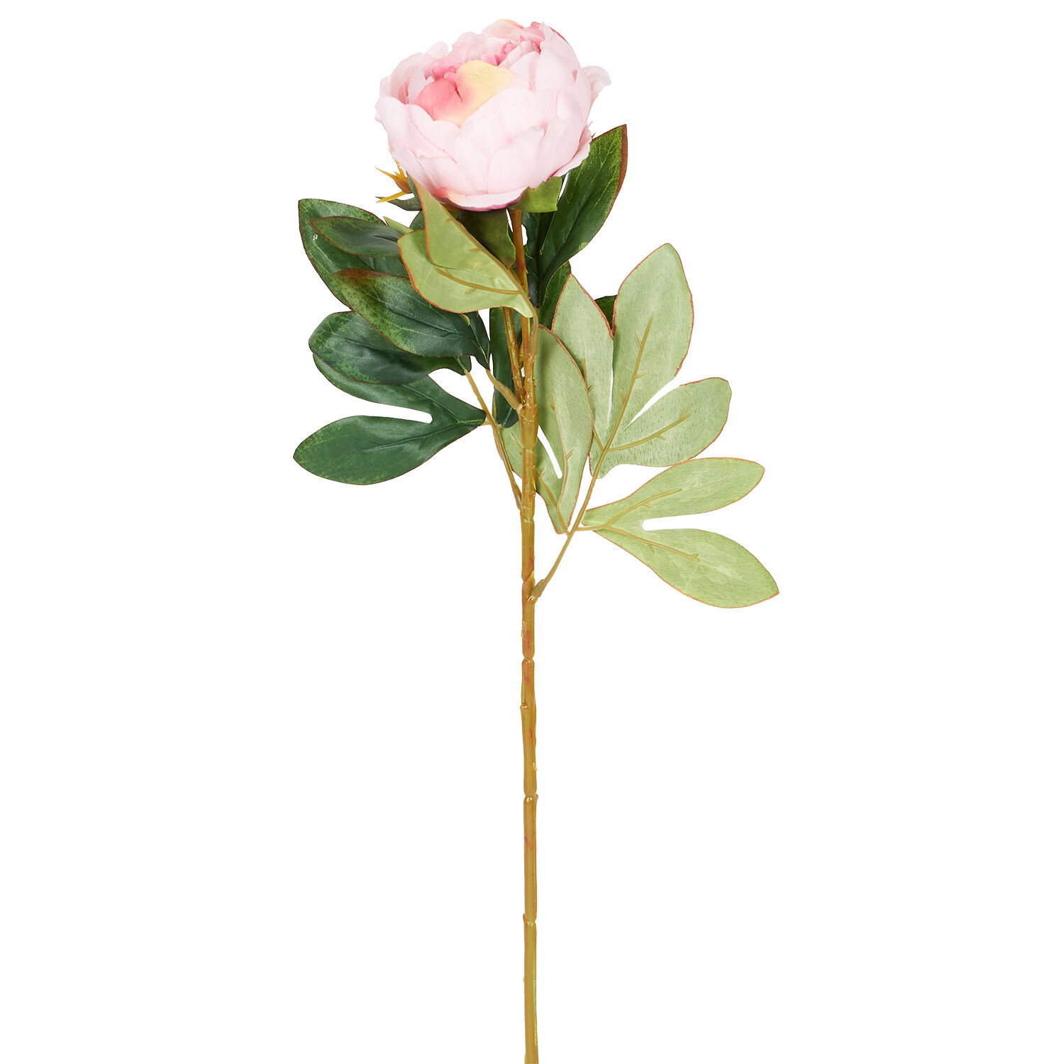 Faux Millicent Peony Image 1