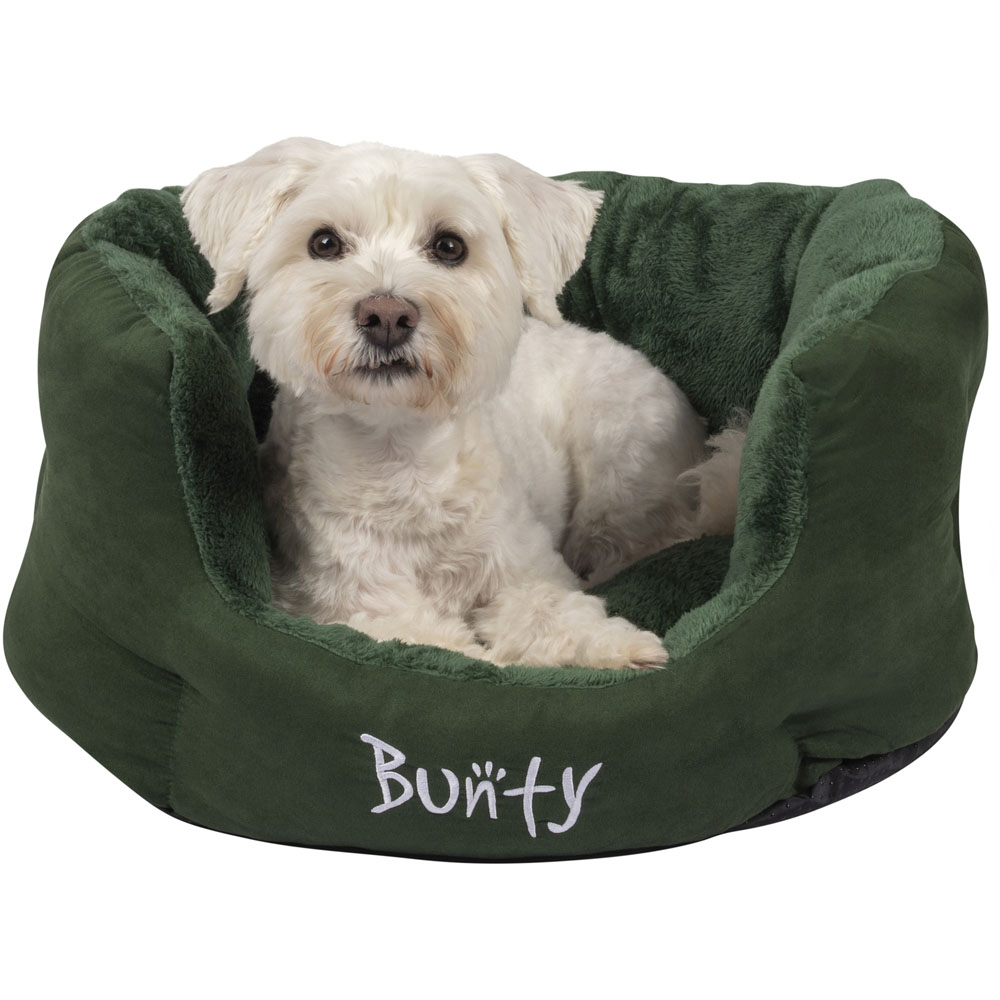 Bunty Polar Medium Green Dog Bed Image 5