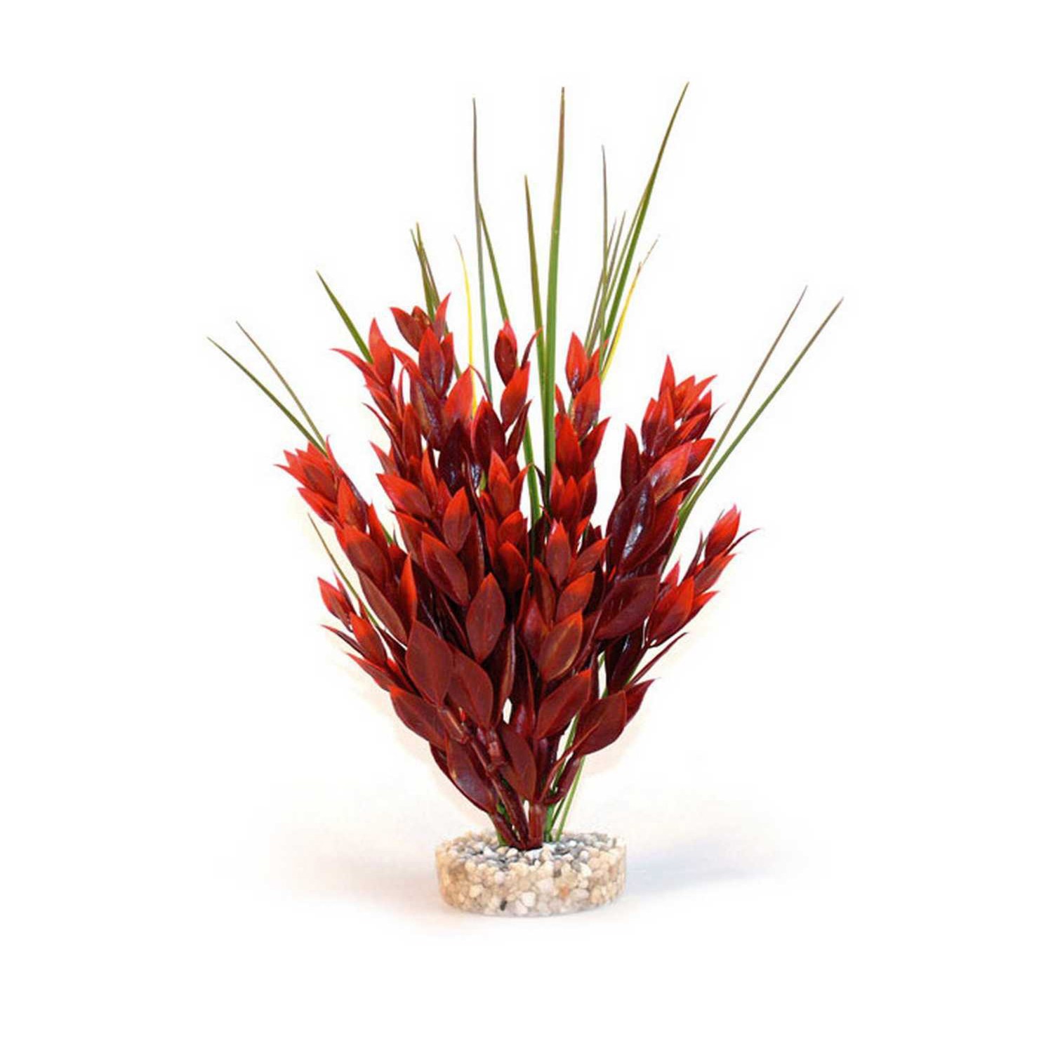Sydeco Ruscus Tank Ornament - Red Image