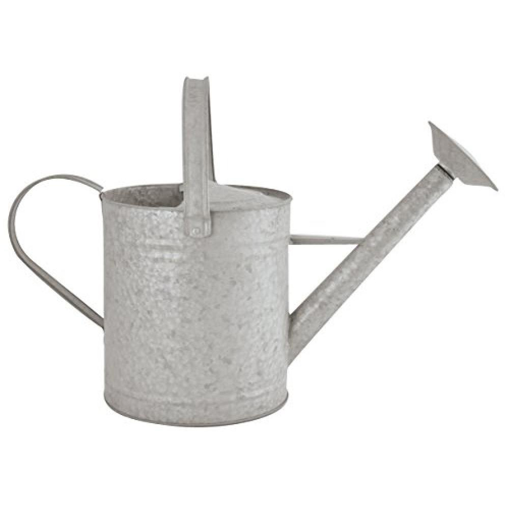 Fallen Fruits Grey Old Zinc Watering Can 8.7L Image 1