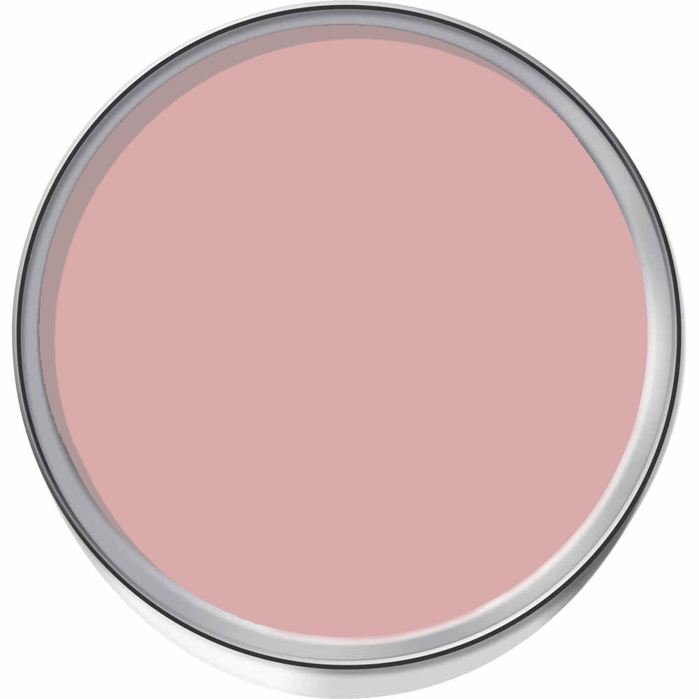 Craig & Rose 1829 Vintage Walls Wood and Metal Rose Pink Eggshell Paint 2.5L Image 3