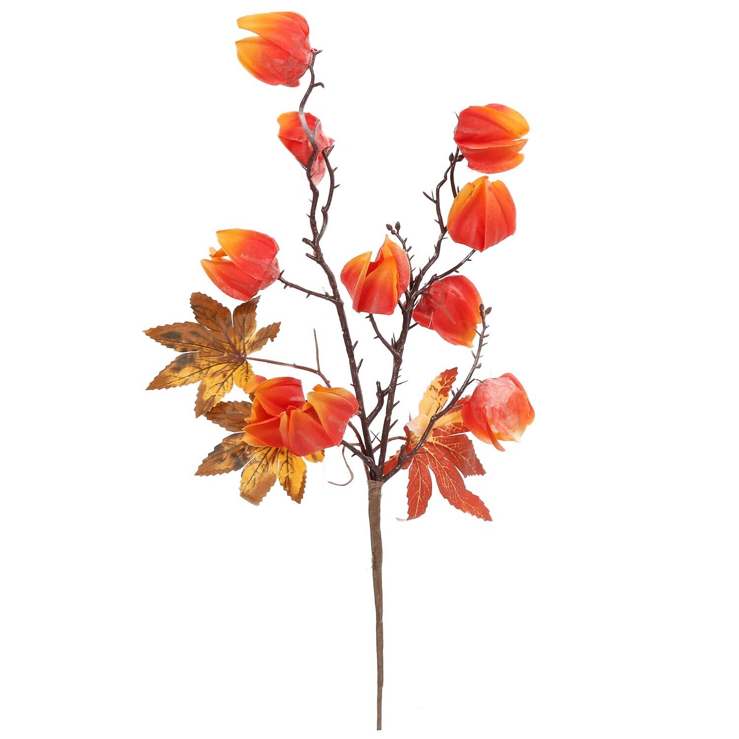 Autumnal Flower Pick Image