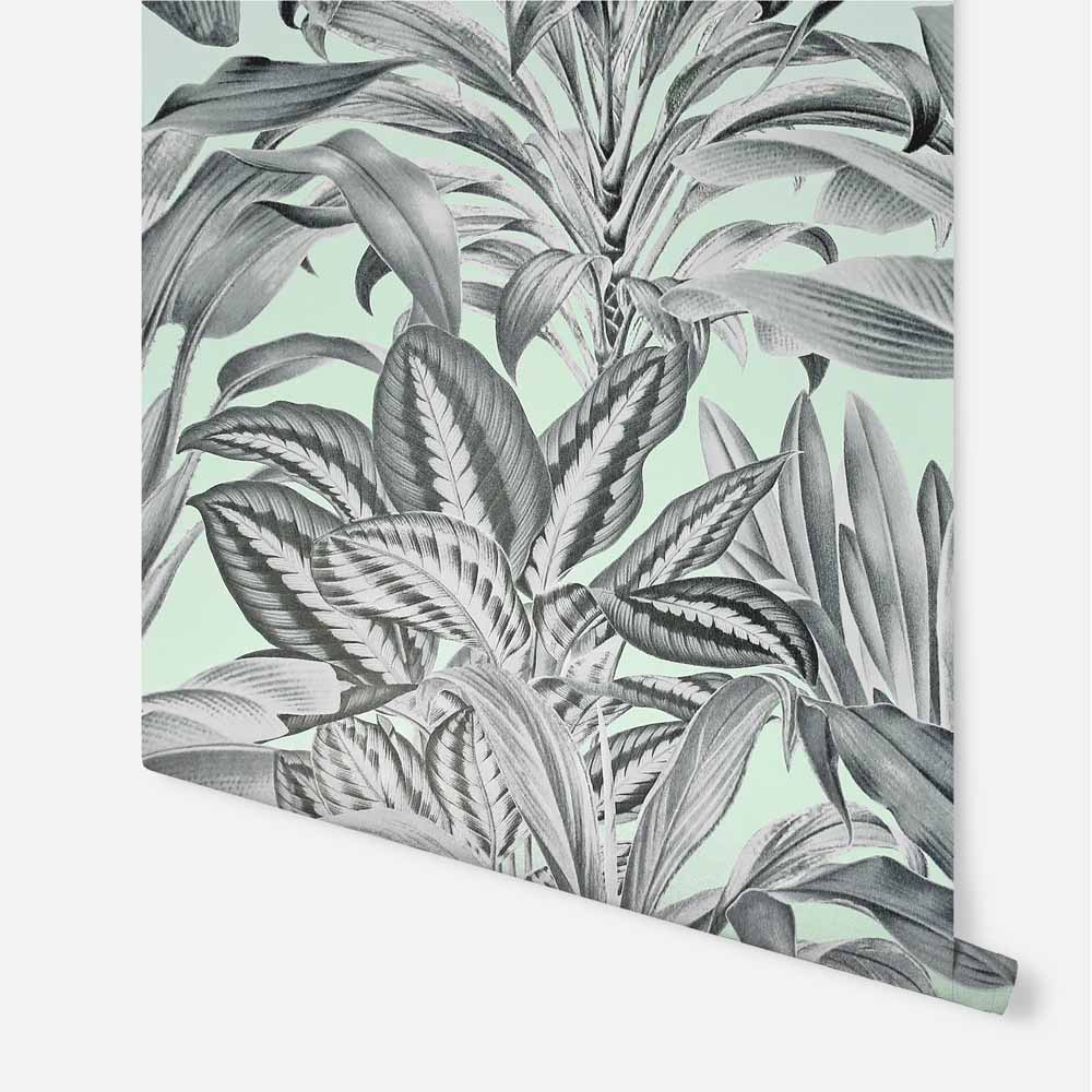 Arthouse Greenhouse Plants Mint Wallpaper Image 3