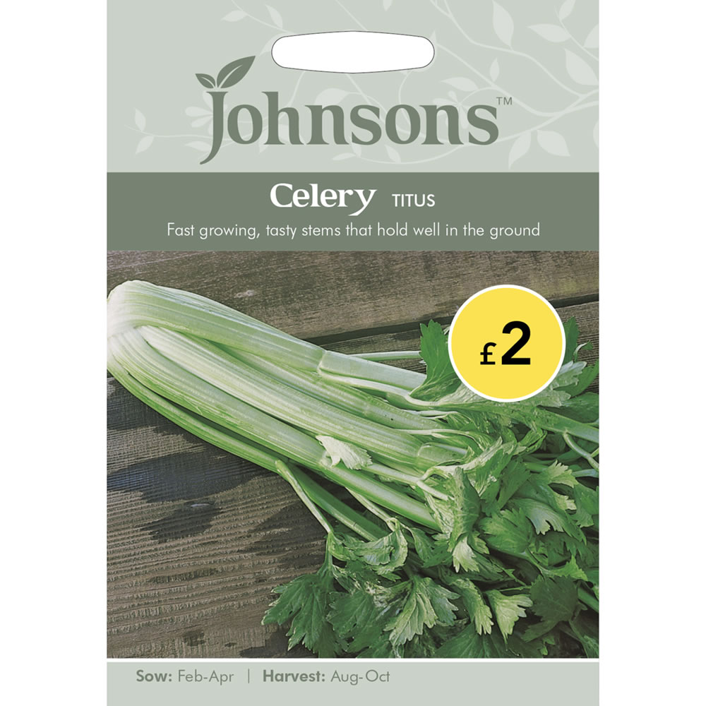Johnsons Seeds Celery Titus Image 2