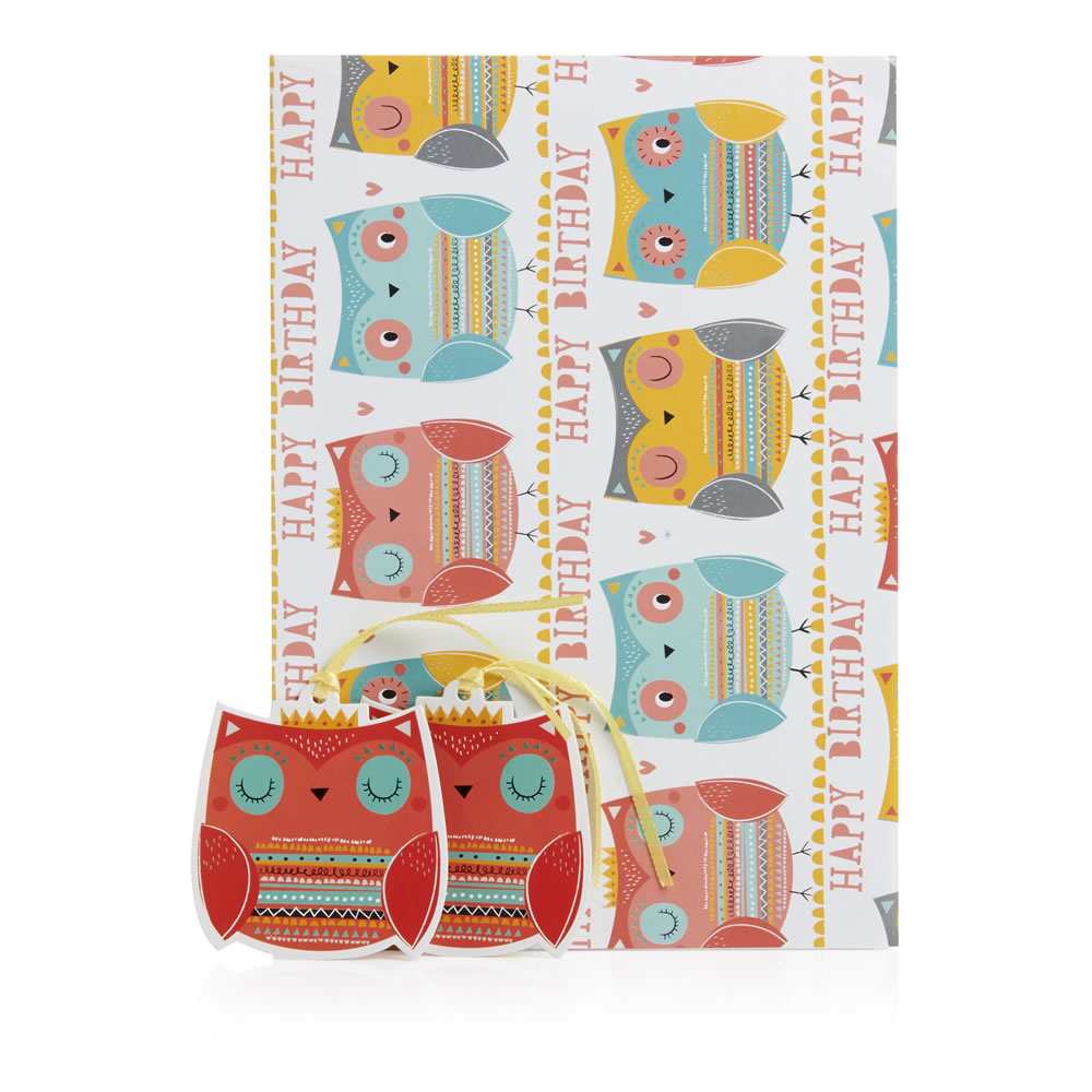 Wilko Flat Owl Gift Wrap 2 Sheets and 2 Tags Image