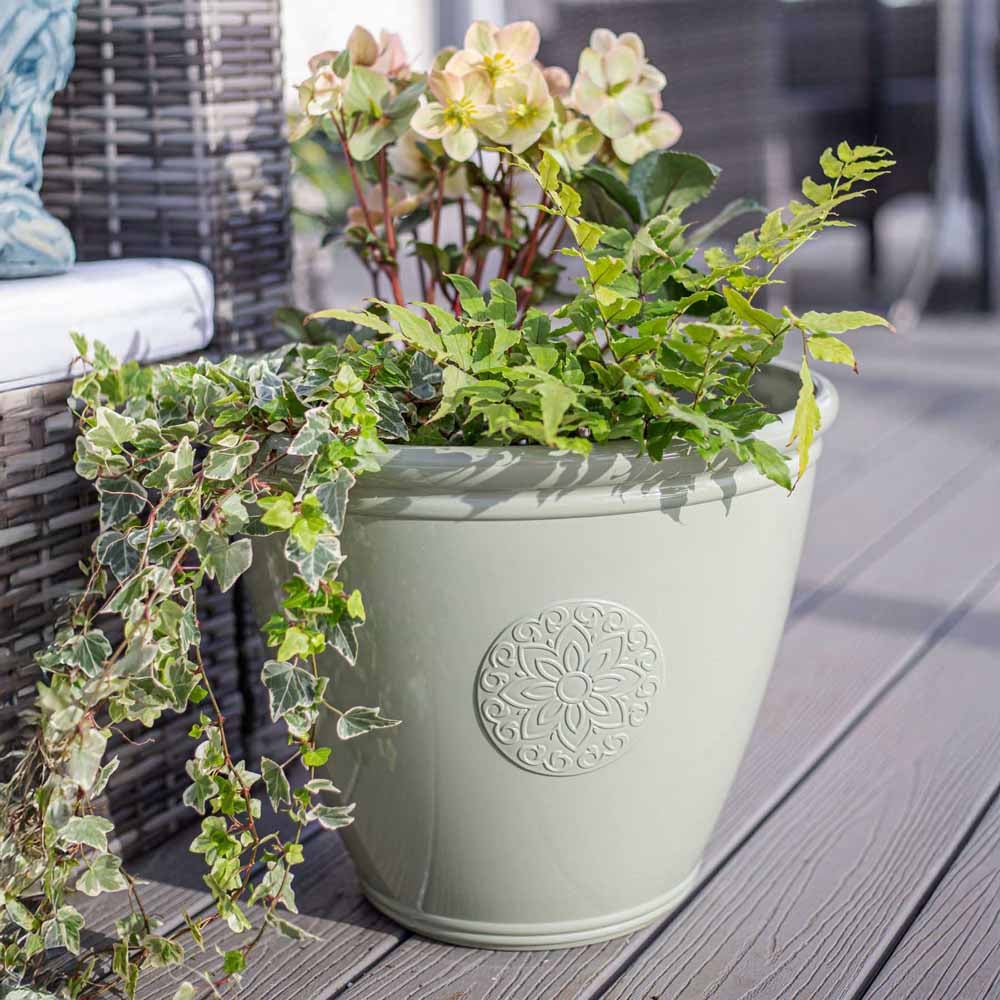 Plant Avenue Eden Emblem Green Plant Pot 40cm Image 2