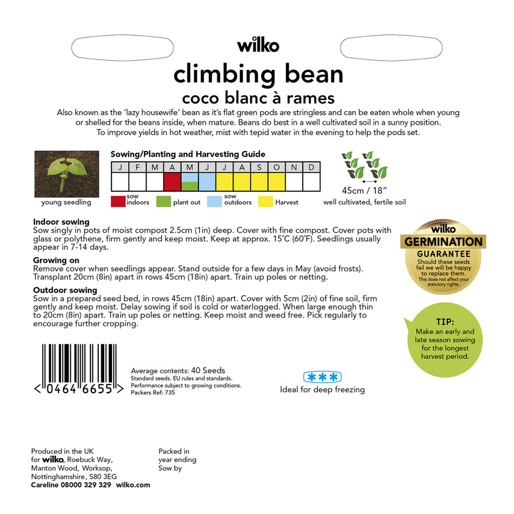 Wilko Bean Climbing Coco Rames Seeds Image 3