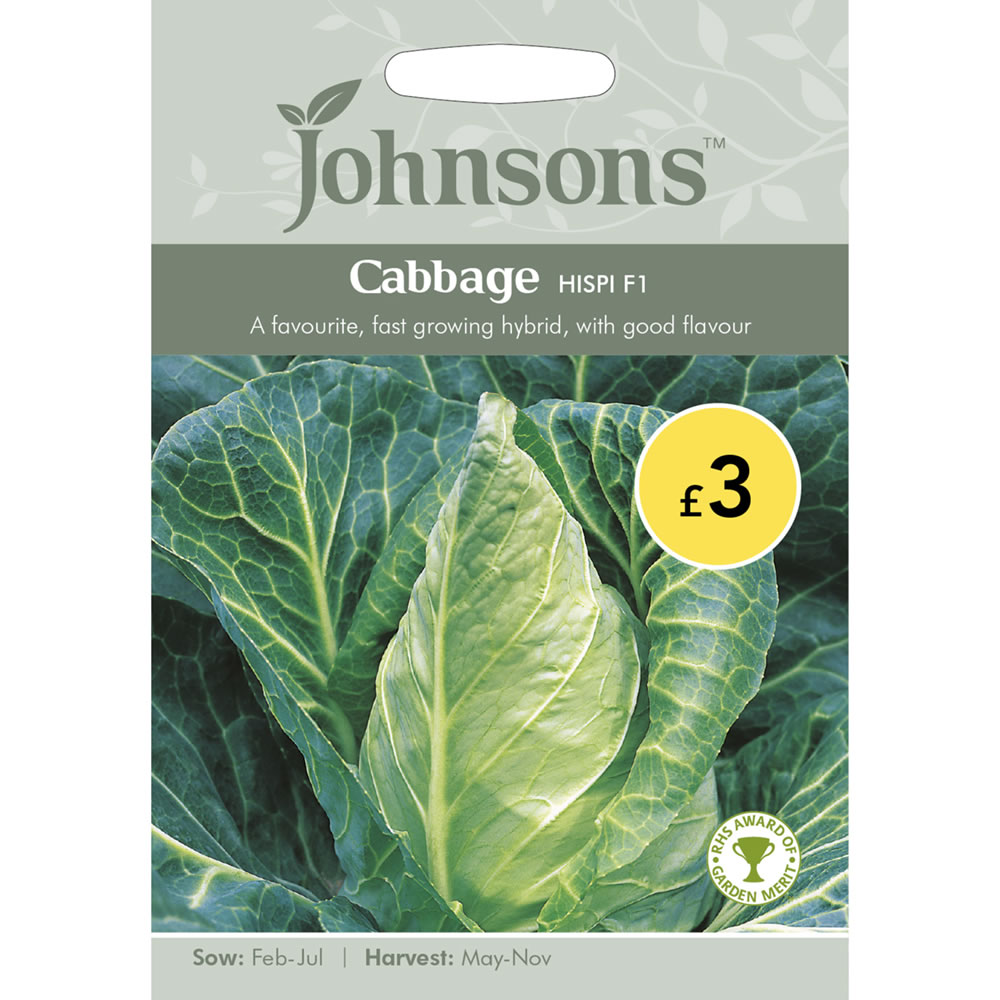 Johnsons Seeds Cabbage Hispi F1 Hybrid Image 2