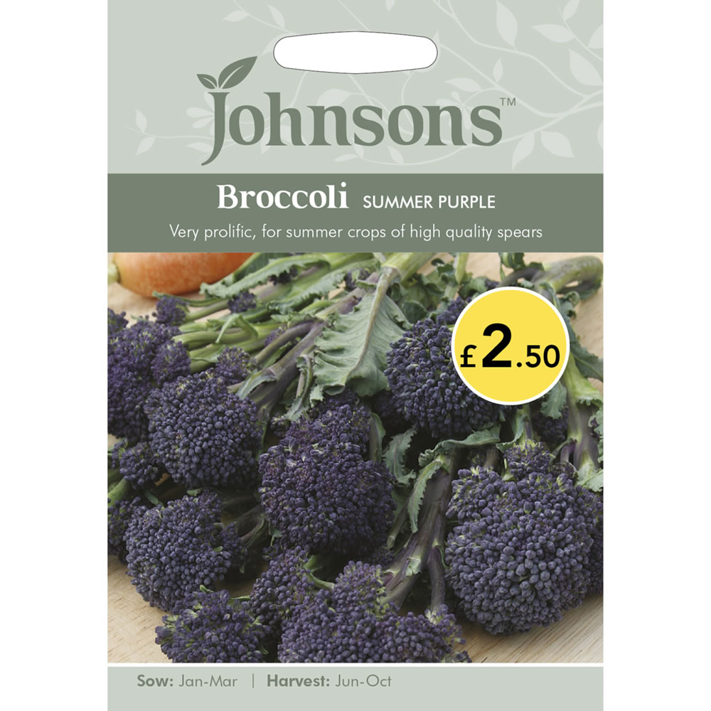 Johnsons Broccoli Summer Purple Seeds Image 2