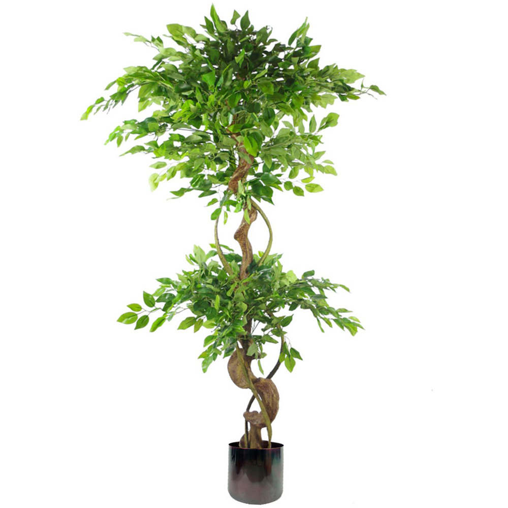 Leaf Japanese Fruticosa Ficus Artificial Tree in Rainbow Planter 5ft Image 1