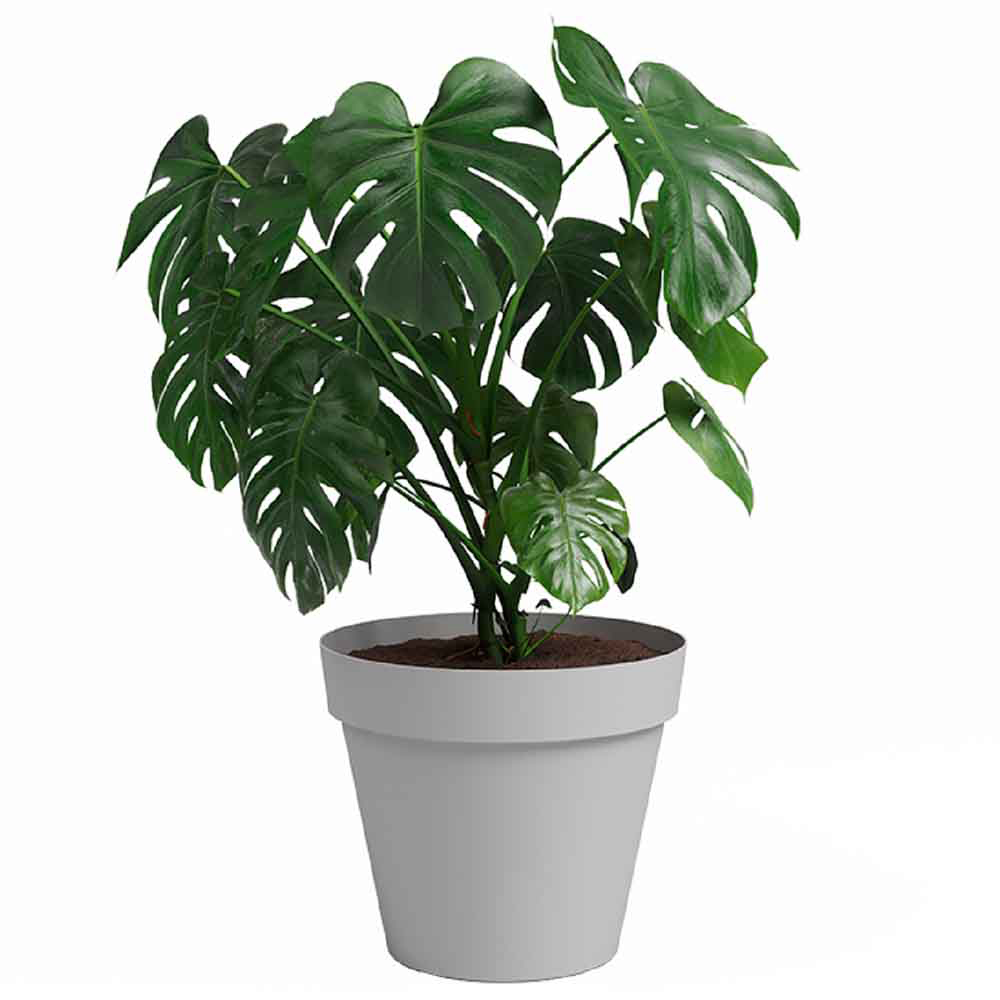 Artevasi Capri Light Grey Round Plastic Plant Pot 40cm Image 2