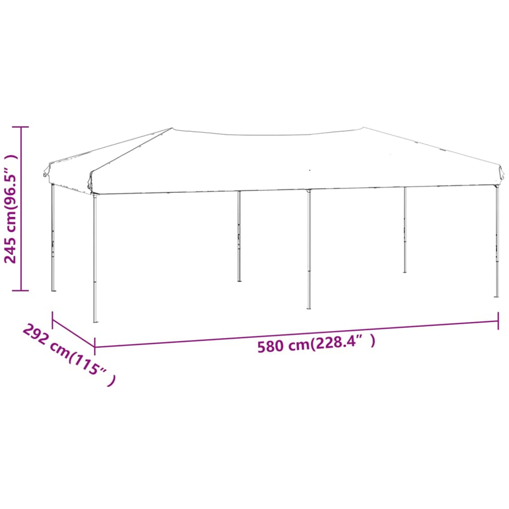 vidaXL 3 x 6m Black Foldable Party Tent Image 9