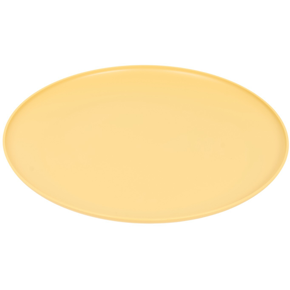 Pack of 4 Summer Dinner Plates Image 9