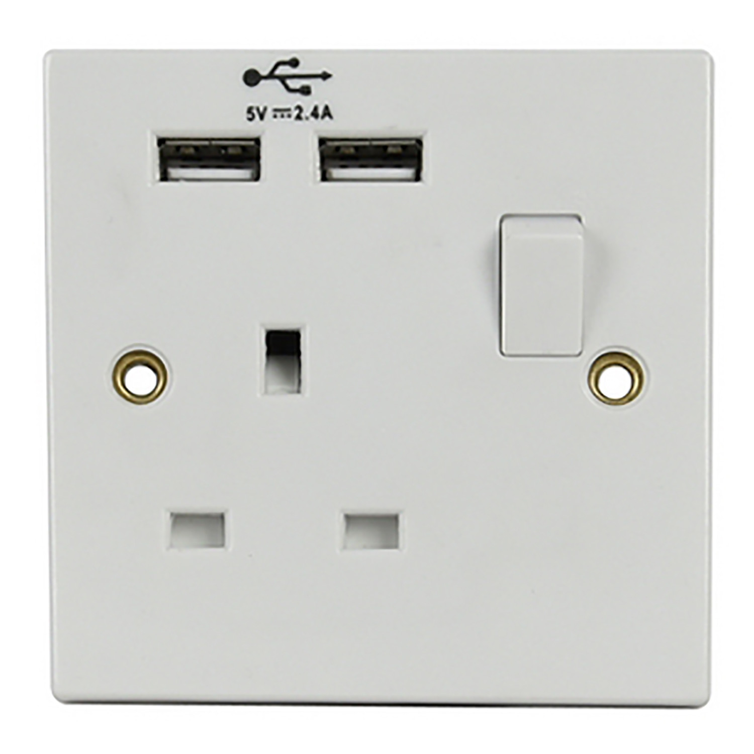 1 Gang Switch Socket with USB Image