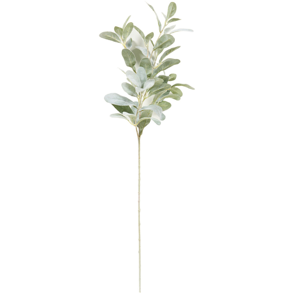 Frosted Lambs Ear Foliage Spray Green Image 1