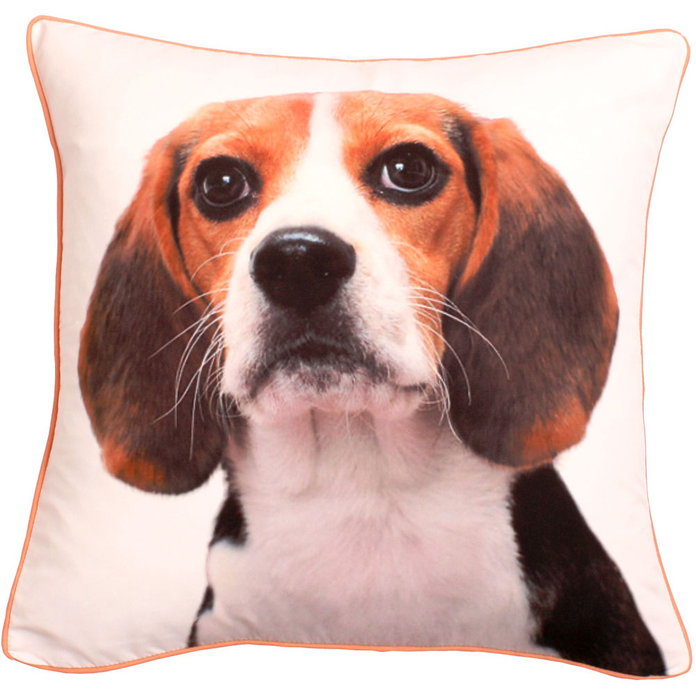 Velosso Charles Printed Filled Cushion 43 x 43cm 2 Pack Image 1
